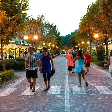 Cozy Flat In The Area In דירה ביביונה